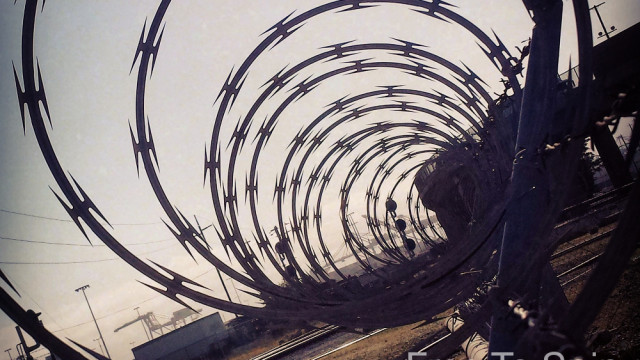 Free To Spin