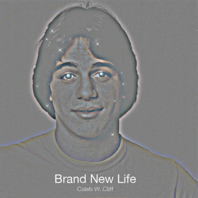 Brand New Life (cover)