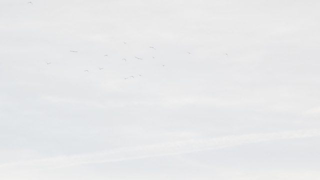 Silence