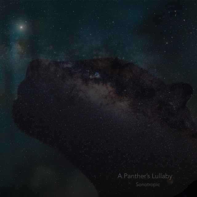 A Panther's Lullaby - Sonotropic