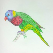 Bird Song