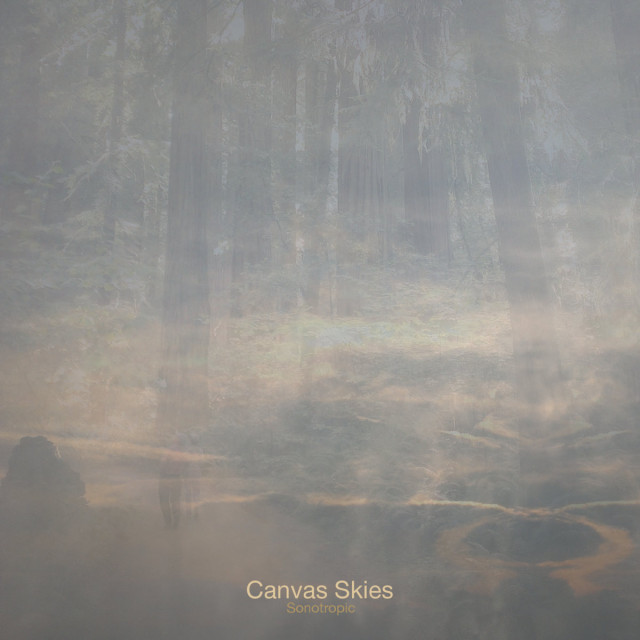 Canvas Skies
