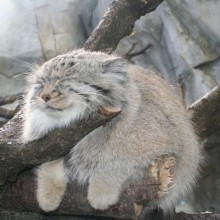 Well Nourished